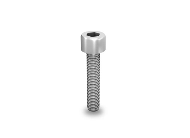 K2 Hexagonal socket head cap screw M8x20